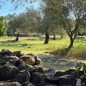 Muristene Pozzo Santa Cristina Holiday home Paulilatino